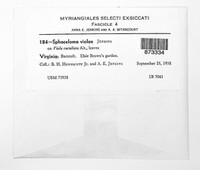 Elsinoe violae image